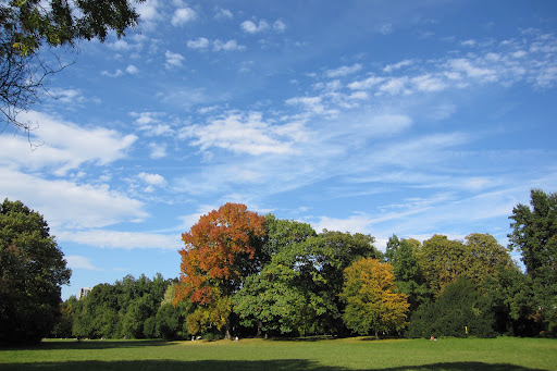 Liegewiese Grüneburgpark