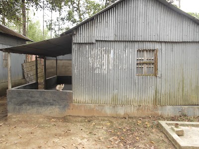 Photos of Bokter Bari Jame Mosjid