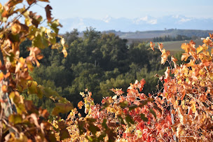 Photo n°12 de Domaine de Lastronques à Lézat-sur-Lèze (Cave à vins)