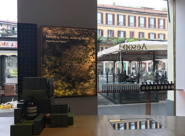 Aesop Brera
