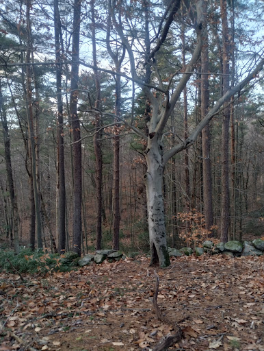 Hartwell Cemetery