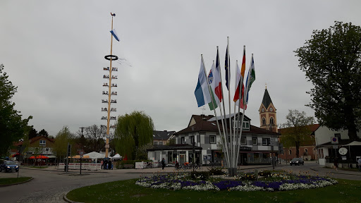 Maibaum Olching - Thumbnail
