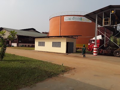 Photos of DekelOil Factor Ayenouan