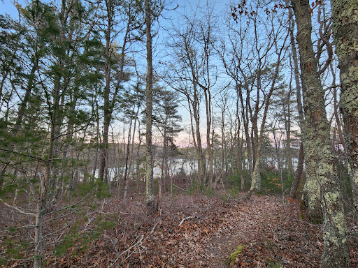 Wildlands Trust - Halfway Pond Conservation Area - Thumbnail