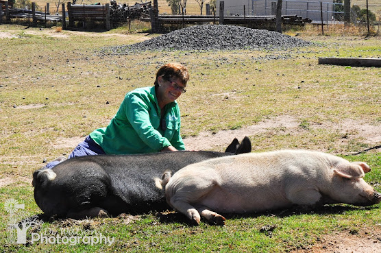 Barcoos Farmstays Bathurst by null
