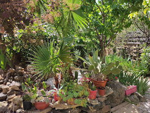 Photo n°15 de Maison d'hôtes Cœur d'Hérault à Péret (Maison de vacances)