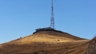 Photos of Victoria Park