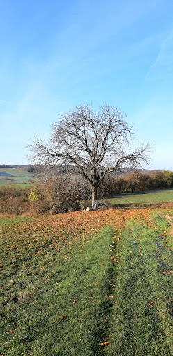 Kuschelbank - Visual