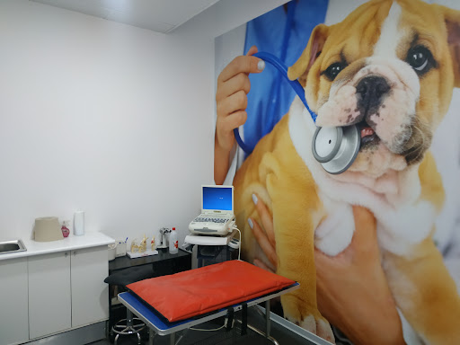 Clínica Veterinaria Cervantes | MiVet