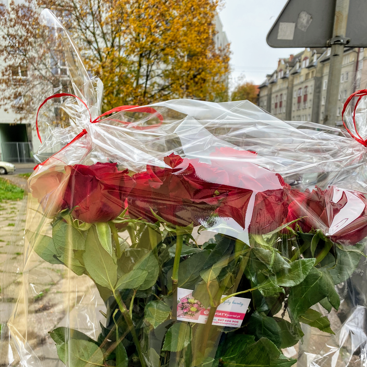 Kwiaciarnia Szczecin Florystyczna Poczta Kwiatowa Dostawa Szczecin Wyslij Kwiaty Szczecin Wiazanki I Wience Pogrzebowe Dostawa Kwiatow Wiazanki Slubne Kwiaciarnia Szczecin I Florystyczna Poczta Kwiatowa Dostawa Szczecin