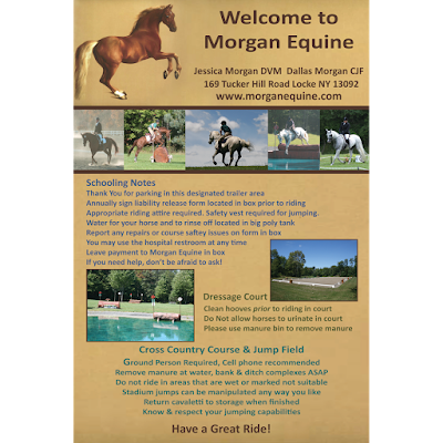 Photos of Morgan Equine Veterinary & Farrier Hospital