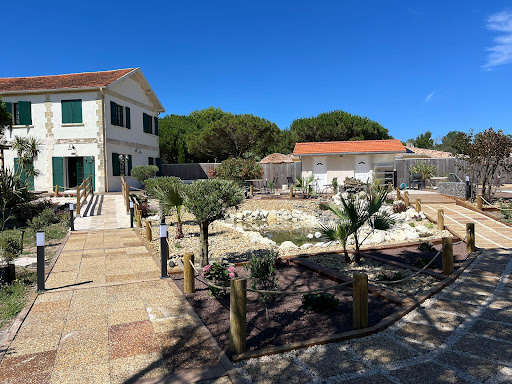 Photo de Hôtel des Pins & Restaurant