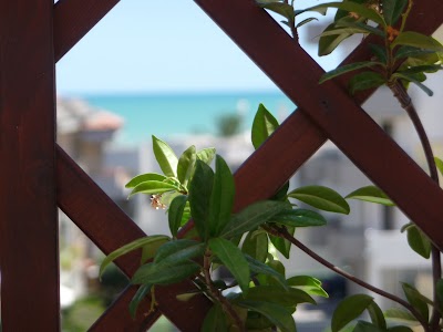 Photos of Hotel Naxos b & b