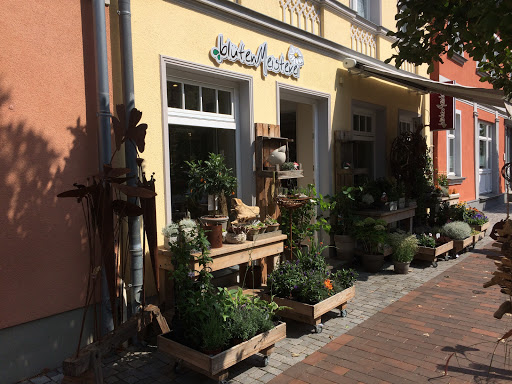 blütenMeisterei Ribnitz
