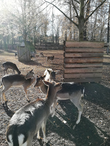 Köstritzer Schloss Park - Thumbnail