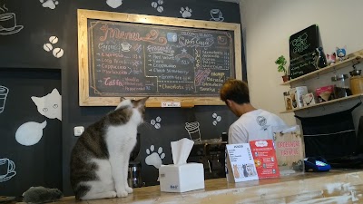 cafe