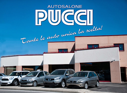 Autosalone Pucci - Visual