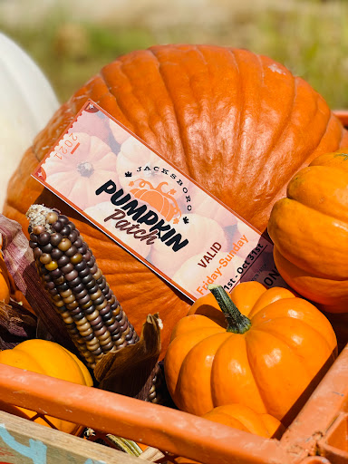 Jacksboro Pumpkin Patch - Thumbnail