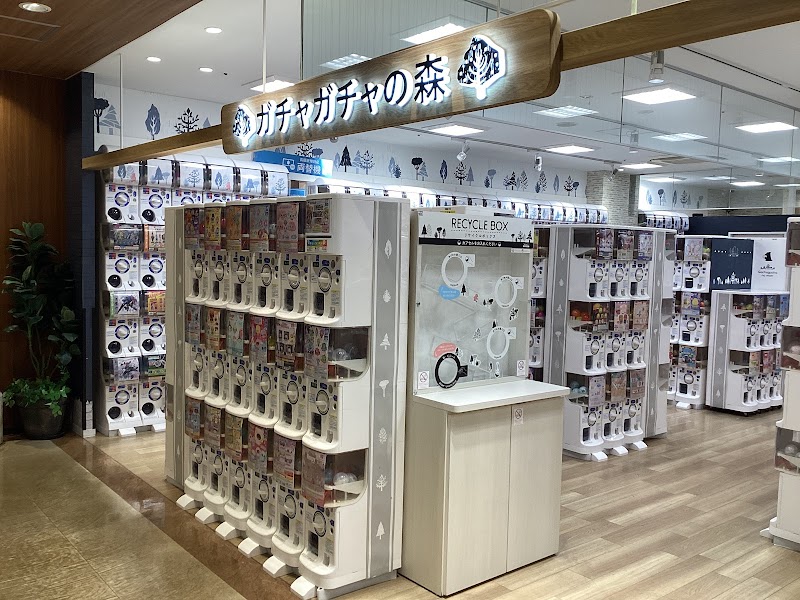 ガチャガチャの森 アスナル金山店