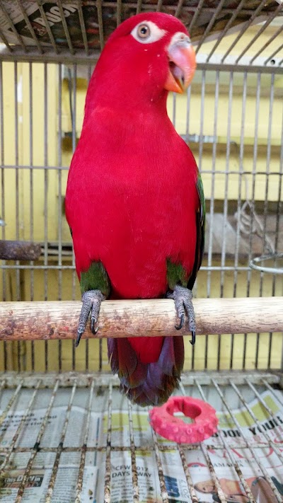 Photos of Super Pet and Garden Centre