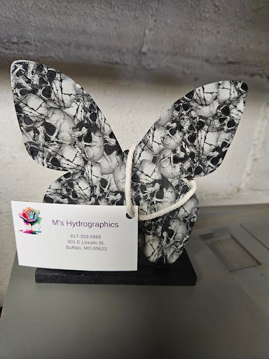 M's Hydrographic - Visual