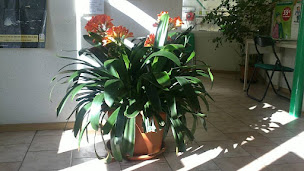 Photo n°15 de Contrôle Technique Automobile DEKRA EURO-BILAN VL - CL (AUTO - MOTO) à Nouzonville (Station de contrôle des émissions)