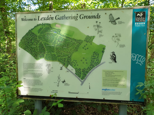 Lexden Gathering Grounds - Thumbnail