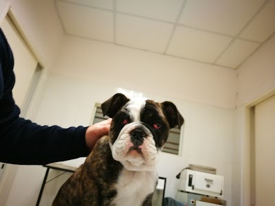 Photos of Clinica Veterinaria Dr. Marcelo Herrera