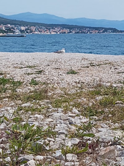 Photos of Electronic Casino SENATOR - INTERNACIONAL