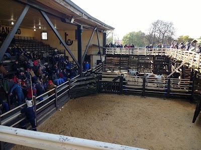 Photos of Feria Bernedo