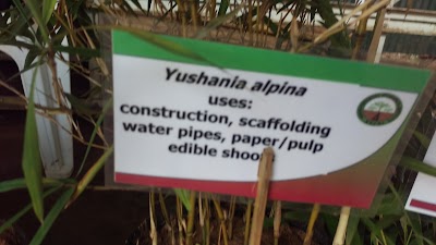 Photos of Kenya Forest Service Parking