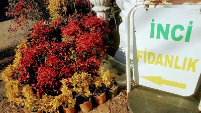 Photos of İnci Fidanlığı