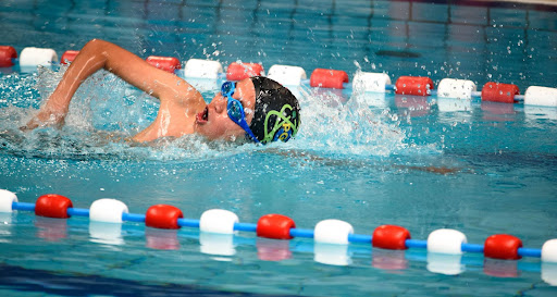 Photo de Pays de Gex Natation