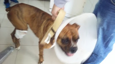 Photos of Mac Animal Medicine Cba