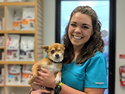 Bozeman Pet Hospital