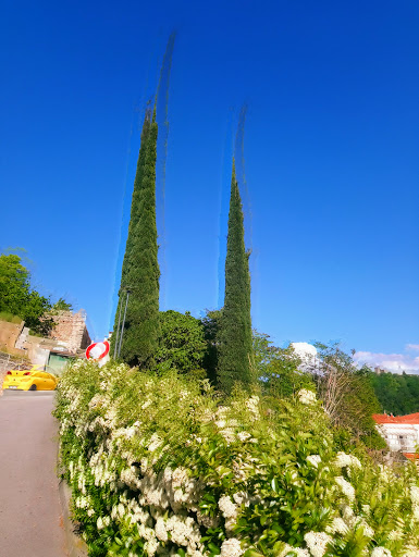 Photo de CAMPING BELLEVUE à Ria (66500)