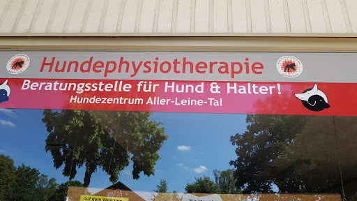 Hundephysiotherapie Hodenhagen - Thumbnail