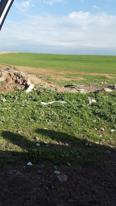 Photos of Al Salam