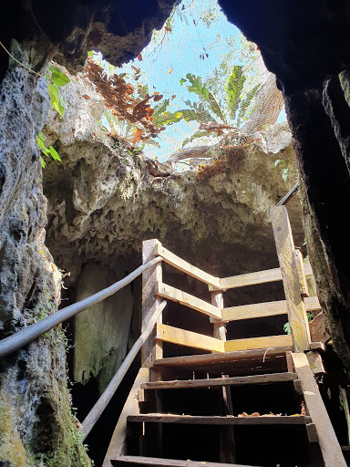 Cenote Choj Ha - Thumbnail