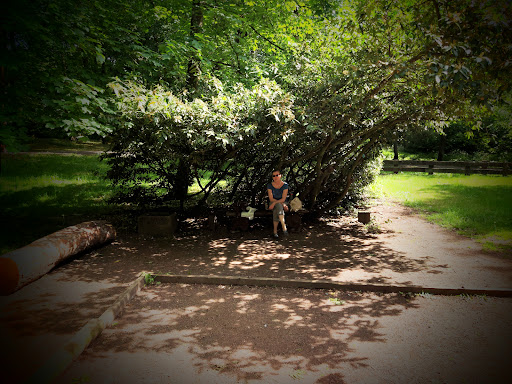 unsere Oase im Stadtpark Saarlouis - Thumbnail