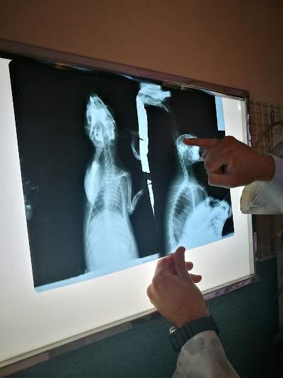 Photos of Veterinary Clinic Avansavet