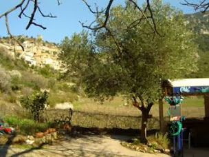 Photo n°25 de Le Lézard Bleu à Vieussan (Brasserie)