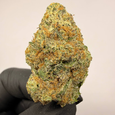 Photo of Hemp Social Dispensary