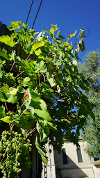 Photo n°23 de La Vieille Ecole à Bourgougnague (Séminaire)