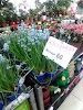 Фотография Хомяк, магазин товаров для дома, 15-й проезд Мясново, Тула, Россия