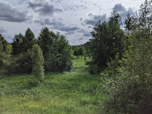 Löcknitztal Nature Reserve - Thumbnail