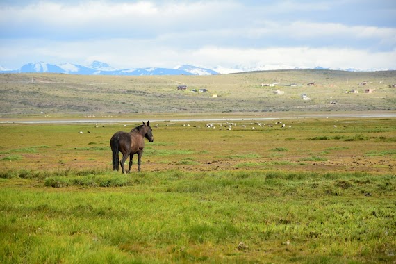 Parque Chacabuco, Author: Tato Caniffi