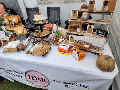 Fetch LLC - Visual