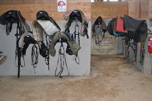 Photo n°8 de Les Legendes de L'West à Plouider (Centre équestre)