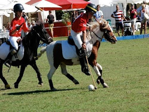Photo n°9 de LES PONEYS D'EOLE à Cornas (Centre équestre)